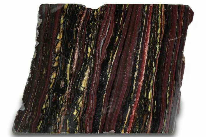 Polished Tiger Iron Stromatolite Section - Billion Years #319459